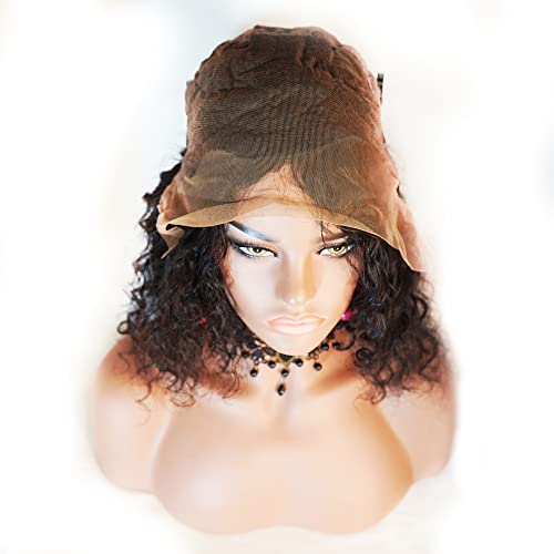 Body Wave Brazilian Human Hair Full Lace Front Wig