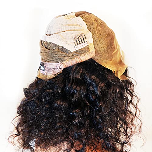 Body Wave Brazilian Human Hair Full Lace Front Wig