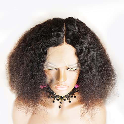 Curly Brazilian Lace Front Wig 18"