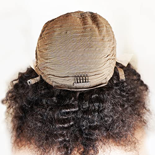 Curly Brazilian Lace Front Wig 18"